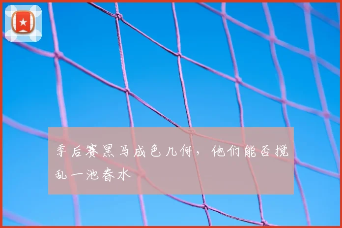 季后赛黑马成色几何，他们能否搅乱一池春水