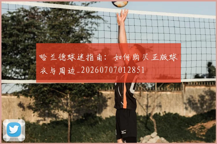 哈兰德球迷指南：如何购买正版球衣与周边_20260707012851
