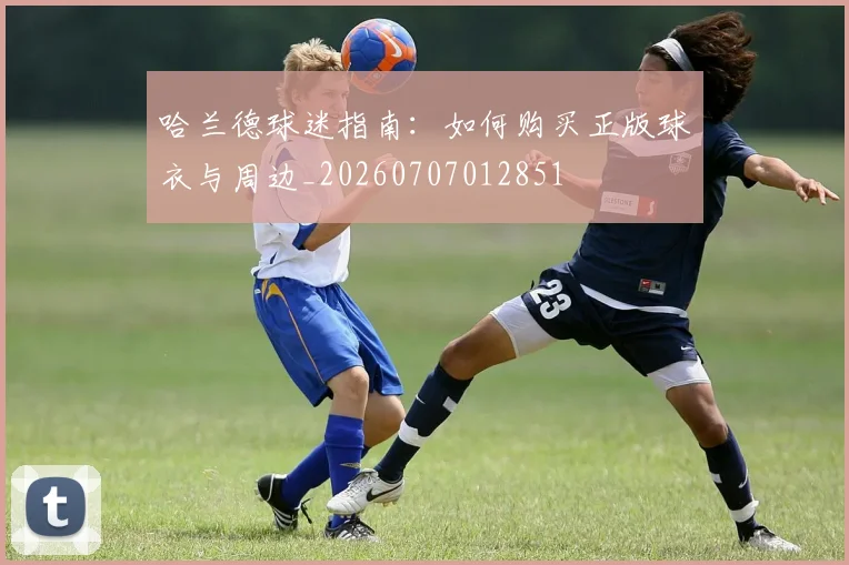 哈兰德球迷指南:如何购买正版球衣与周边_20260707012851