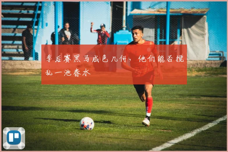 季后赛黑马成色几何，他们能否搅乱一池春水